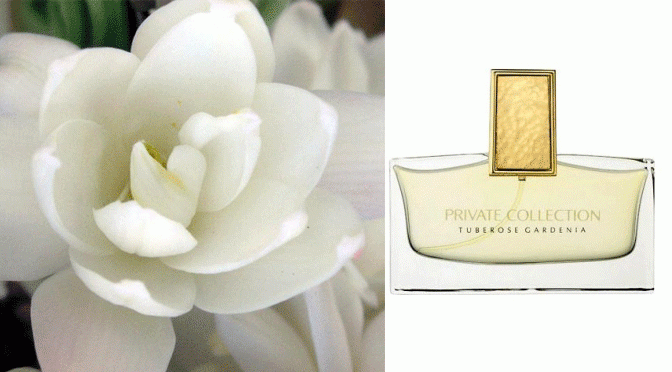 BEAUTY DIARIES BY BEAUTY LINE - ESTEE LAUDER PRIVATE COLLECTION TUBEROSE GARDENIA: MY PERFUME